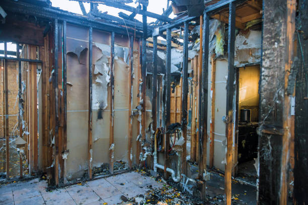 Professional Smoke Damage Removal technician working in Minneapolis, MN